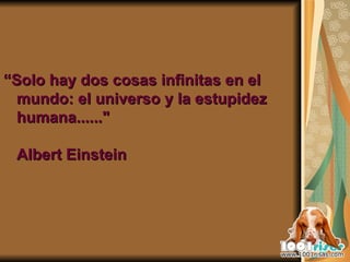 “ Solo hay dos cosas infinitas en el mundo: el universo y la estupidez humana......" Albert Einstein   