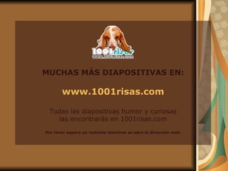 MUCHAS MÁS DIAPOSITIVAS EN: www.1001risas.com Todas las diapositivas humor y curiosas las encontrarás en 1001risas.com Por favor espera un instante mientras se abre la dirección web. 