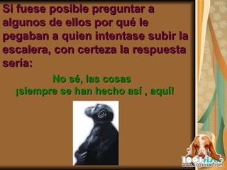 Si fuese posible preguntar a algunos de ellos por qué le pegaban a quien intentase subir la escalera, con certeza la respuesta sería: No sé, las cosas ¡siempre se han hecho así , aquí!  