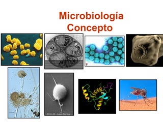 Microbiología   Concepto 