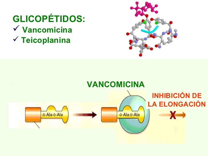 Diapositivas Tema 05.1. Antimicrobianos. Mecanismos De AccióN