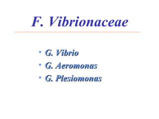 F. Vibrionaceae ,[object Object],[object Object],[object Object]