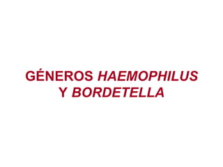 GÉNEROS  HAEMOPHILUS  Y  BORDETELLA 