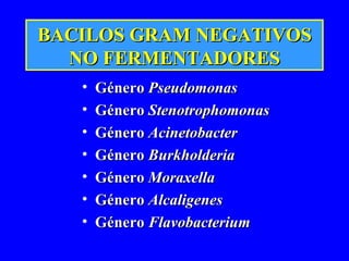 BACILOS GRAM NEGATIVOS NO FERMENTADORES ,[object Object],[object Object],[object Object],[object Object],[object Object],[object Object],[object Object]