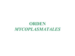 ORDEN  MYCOPLASMATALES 