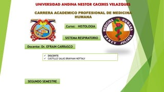 UNIVERSIDAD ANDINA NESTOR CACERES VELAZQUES
CARRERA ACADEMICO PROFESIONAL DE MEDICINA
HUMANA
SISTEMA RESPIRATORIO
Curso: HISTOLOGIA
Docente: Dr. EFRAIN CARRASCO
SEGUNDO SEMESTRE
 DISCENTE
 CASTILLO SALAS BRAYHAN NEFTALY
 