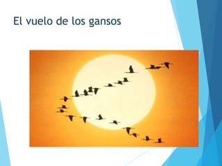 El vuelo de los gansos
 