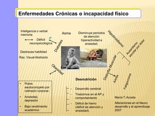Enfermedades Crónicas o incapacidad físico


 Inteligencia o verbal
                          Asma     Disminuye periodos
 memoria
                                       de atención
            Déficit                  hiperactividad a
       neuropsicologíca                 ansiedad.

Destrezas habilidad
Raz. Visual Abstracto




                                 Desnutrición
•   Pobre
    eautoconcpeto por        -   Desarrollo cerebral
    colmazin corporar.
                             -   Trastornos en el AP y
•   Ansiedad,                    comportamiento           María T. Acosta
    depresión
                             -   Déficit de hierro        Alteraciones en el Neuro
•   Bajo rendimiento             (déficit de atención y   desarrollo y el aprendizaje
    académico                    ansiedad).               2007
 