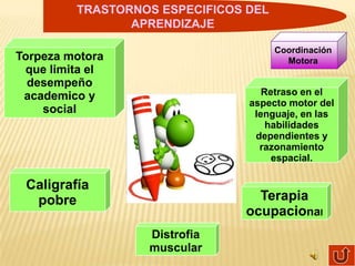 TRASTORNOS ESPECIFICOS DEL
                APRENDIZAJE

                                      Coordinación
Torpeza motora                          Motora
 que limita el
  desempeño
 academico y                       Retraso en el
                                aspecto motor del
    social                       lenguaje, en las
                                    habilidades
                                 dependientes y
                                  razonamiento
                                     espacial.

 Caligrafía
  pobre                          Terapia
                               ocupacional
                  Distrofia
                  muscular
 