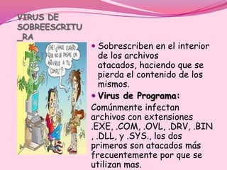 VIRUS DE
SOBREESCRITU
_RA
                Sobrescriben en el interior
                  de los archivos
                  atacados, haciendo que se
                  pierda el contenido de los
                  mismos.
                Virus de Programa:
               Comúnmente infectan
               archivos con extensiones
               .EXE, .COM, .OVL, .DRV, .BIN
               , .DLL, y .SYS., los dos
               primeros son atacados más
               frecuentemente por que se
               utilizan mas.
 