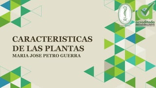CARACTERISTICAS
DE LAS PLANTAS
MARIA JOSE PETRO GUERRA
 