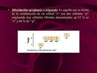 • Hibridación sp2 (planar o trigonal): Es aquella que se forma
de la combinación de un orbital “s” con dos orbitales “p”
originando tres orbitales híbridos denominados sp2.33 % se
“s” y 66 % de “ p”.

 