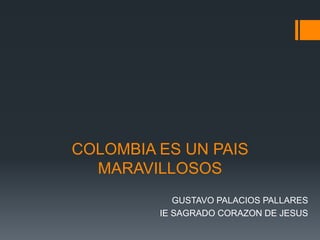 COLOMBIA ES UN PAIS
MARAVILLOSOS
GUSTAVO PALACIOS PALLARES
IE SAGRADO CORAZON DE JESUS
 