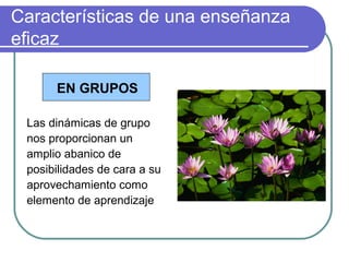 Características de una enseñanza
eficaz
EN GRUPOS
Las dinámicas de grupo
nos proporcionan un
amplio abanico de
posibilidades de cara a su
aprovechamiento como
elemento de aprendizaje
 