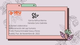 Stir
García Xelhua Marina
Heredia Cano Gabriela
Actividad colaborativa
Administración del cap humano
Profa: Thania Emmabel Sosa y Flores
Puebla, Pue de Noviembre de 2022
 