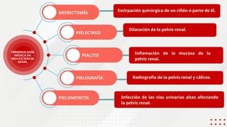TERMINOLOGÍA
MÉDICA EN
INSUFICIENCIA
RENAL
PIELONEFRITIS
Extirpación quirúrgica de un riñón o parte de él.
PIELECTASIS
PIALITIS
PIELOGRAFÍA
NEFRECTOMÍA
Dilatación de la pelvis renal.
Inflamación de la mucosa de la
pelvis renal.
Radiografía de la pelvis renal y cálices.
Infección de las vías urinarias altas afectando
la pelvis renal.
 