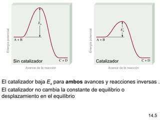 Energía potencial




                                                   Energía potencial
                     Sin catalizador                                   Catalizador
                           Avance de la reacción                            Avance de la reacción



El catalizador baja Ea para ambos avances y reacciones inversas .
El catalizador no cambia la constante de equilibrio o
desplazamiento en el equilibrio


                                                                                                    14.5
 