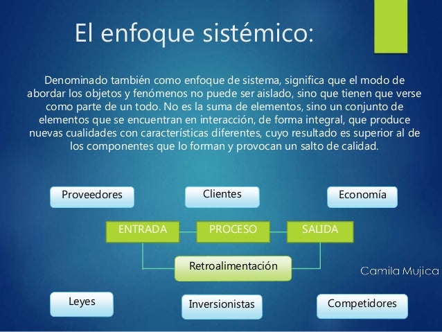 El enfoque sistemico