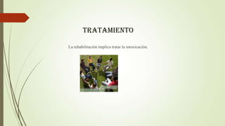 TRATAMIENTO
La rehabilitación implica tratar la intoxicación.