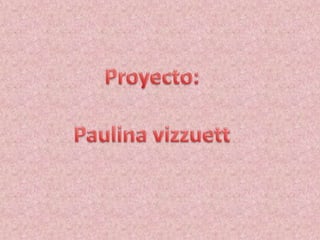 Proyecto: Paulina vizzuett 