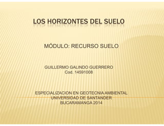 LOS HORIZONTES DEL SUELO 
MÓDULO: RECURSO SUELO 
GUILLERMO GALINDO GUERRERO 
Cod. 14591008 
ESPECIALIZACION EN GEOTECNIA AMBIENTAL 
UNIVERSIDAD DE SANTANDER 
BUCARAMANGA 2014 
 