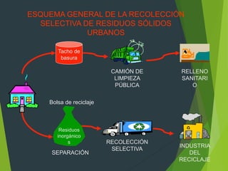 ESQUEMA GENERAL DE LA RECOLECCIÓN
SELECTIVA DE RESIDUOS SÓLIDOS
URBANOS
Tacho de
basura
Residuos
inorgánico
s
RELLENO
SANITARI
O
INDUSTRIA
DEL
RECICLAJE
RECOLECCIÓN
SELECTIVA
CAMIÓN DE
LIMPIEZA
PÚBLICA
SEPARACIÓN
Bolsa de reciclaje
 