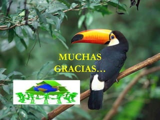 MUCHAS
GRACIAS…
 