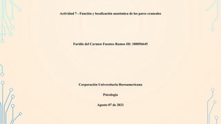 Actividad 7 - Función y localización anatómica de los pares craneales
Faridis del Carmen Fuentes Ramos ID: 100056645
Corporación Universitaria Iberoamericana
Psicología
Agosto 07 de 2021
 