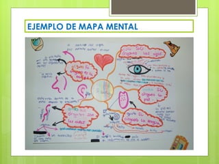 EJEMPLO DE MAPA MENTAL
 