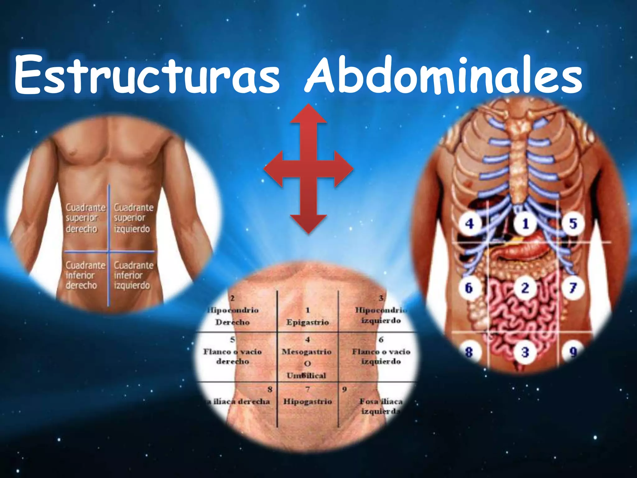 Exploracion fisica de abdomen parte 1 | PPTX
