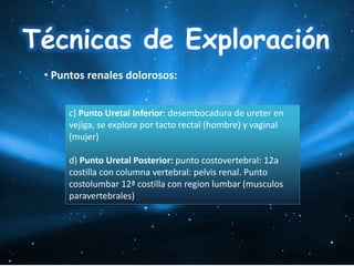 Exploracion fisica de abdomen parte 1 | PPTX