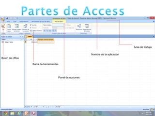 Botón de office
Barra de herramientas
Nombre de la aplicación
Panel de opciones
Área de trabajo
 