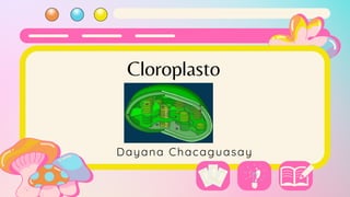 Cloroplasto
Dayana Chacaguasay
 