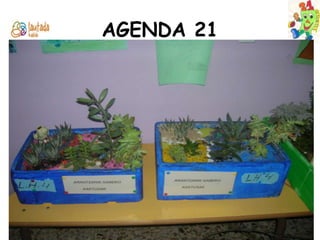 AGENDA 21