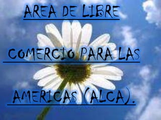 AREA DE LIBRE  COMERCIO PARA LAS  AMERICAS (ALCA). 