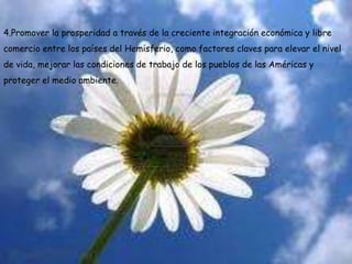 4.Promover la prosperidad a través de la creciente integración económica y libre comercio entre los países del Hemisferio, como factores claves para elevar el nivel de vida, mejorar las condiciones de trabajo de los pueblos de las Américas y proteger el medio ambiente. 