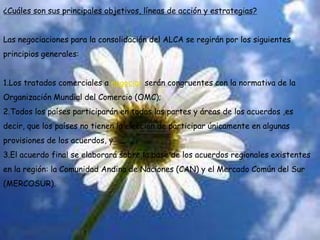 ¿Cuáles son sus principales objetivos, líneas de acción y estrategias?Las negociaciones para la consolidación del ALCA se regirán por los siguientes principios generales:Los tratados comerciales a negociar serán congruentes con la normativa de la Organización Mundial del Comercio (OMC); Todos los países participarán en todas las partes y áreas de los acuerdos ,es decir, que los países no tienen la elección de participar únicamente en algunas provisiones de los acuerdos, y El acuerdo final se elaborará sobre la base de los acuerdos regionales existentes en la región: la Comunidad Andina de Naciones (CAN) y el Mercado Común del Sur (MERCOSUR). 