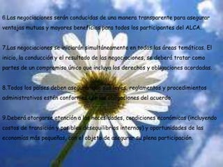 6.Las negociaciones serán conducidas de una manera transparente para asegurar ventajas mutuas y mayores beneficios para todos los participantes del ALCA. 7.Las negociaciones se iniciarán simultáneamente en todas las áreas temáticas. El inicio, la conducción y el resultado de las negociaciones, se deberá tratar como partes de un compromiso único que incluya los derechos y obligaciones acordadas.8.Todos los países deben asegurar que sus leyes, reglamentos y procedimientos administrativos estén conformes con las obligaciones del acuerdo.9.Deberá otorgarse atención a las necesidades, condiciones económicas (incluyendo costos de transición y posibles desequilibrios internos) y oportunidades de las economías más pequeñas, con el objeto de asegurar su plena participación. 