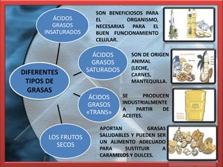 SON BENEFICIOSOS PARA
         ÁCIDOS       EL        ORGANISMO,
         GRASOS       NECESARIAS PARA EL
      INSATURADOS     BUEN FUNCIONAMIENTO
                      CELULAR.

                      ÁCIDOS       SON DE ORIGEN
                      GRASOS       ANIMAL
                    SATURADOS      (LECHE,
DIFERENTES                         CARNES,
 TIPOS DE                          MANTEQUILLA.
  GRASAS
                     ÁCIDOS     SE       PRODUCEN
                    GRASOS      INDUSTRIALMENTE
                                A    PARTIR    DE
                    «TRANS»     ACEITES.

                       APORTAN          GRASAS
       LOS FRUTOS      SALUDABLES Y PUEDEN SER
                       UN ALIMENTO ADECUADO
         SECOS
                       PARA     SUSTITUIR    A
                       CARAMELOS Y DULCES.
 