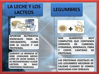 LA LECHE Y LOS
                           LEGUMBRES
   LACTEOS



APORTAN NUTRIENTES
ESENCIALES PARA EL          SON    ALIMENTOS       MUY
CRECIMIENTO,  COMO          COMPLETOS QUE CONTIENEN
SON EL CALCIO Y LAS         HIDRATOS    DE   CARBONO,
PROTEINAS.                  VITAMINAS, MINERALES, FIBRA
                            Y CIERTA CANTIDAD DE
DURANTE LA INFANCIA SE      PROTEINAS.
DEBE CONSUMIR MEDIO
LITRO DE LECHE DIARIO, Y
ES RECOMENDABLE ELEGIR
                            LAS PROTEINAS VEGETALES DE
LÁCTEOS     DE     BAJO     LAS LEGUMBRES MEJORAN DE
CONTENIDO ENGRASAS.         CALIDAD CUANDO SE COMEN
                            ASOCIADAS CON CEREALES.
 