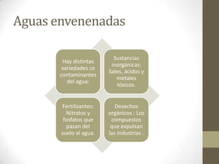 Aguas envenenadas

                          Sustancias
        Hay distintas
                         inorgánicas:
        variedades ce
                        Sales, ácidos y
       contaminantes
                           metales
          del agua:
                           tóxicos.


       Fertilizantes:      Desechos
         Nitratos y     orgánicos : Los
        fosfatos que     compuestos
         pasan del       que expulsan
       suelo al agua.   las industrias .
 