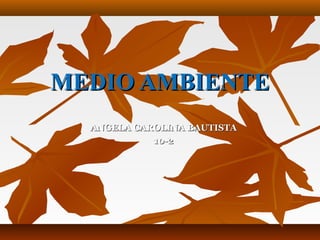 MEDIO AMBIENTEMEDIO AMBIENTE
ANGELA CAROLINA BAUTISTAANGELA CAROLINA BAUTISTA
10-210-2
 