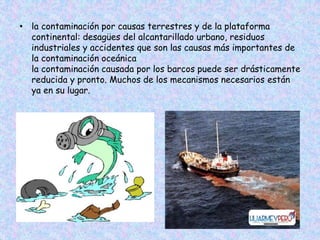 • la contaminación por causas terrestres y de la plataforma
continental: desagües del alcantarillado urbano, residuos
industriales y accidentes que son las causas más importantes de
la contaminación oceánica
la contaminación causada por los barcos puede ser drásticamente
reducida y pronto. Muchos de los mecanismos necesarios están
ya en su lugar.
 