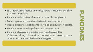 • Es usado como fuente de energía para músculos, cerebro
y sistema nervioso.
• Ayuda a metabolizar el azúcar y los ácidos orgánicos.
• Puede ayudar en la estimulación de anticuerpos.
• Puede ayudar a estabilizar los niveles de azúcar en sangre.
• Ayuda a mantener la próstata en buen estado.
• Ayuda a eliminar sustancias que pueden resultar
tóxicas en el organismo si se concentran en exceso, como
ocurre con la acumulación de nitrógeno.
FUNCIONES
 