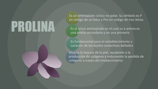 PROLINA
Es un aminoácido cíclico no polar. Su símbolo es P
en código de un letra y Pro en código de tres letras
Es el único aminoácido en el cual su a-amina es
una amina secundaria y no una primaria
Es fundamental para el restablecimiento y
curación de los tejidos conectivos dañados
Mejora la textura de la piel, ayudando a la
producción de colágeno y reduciendo la perdida de
colágeno a través del envejecimiento
 