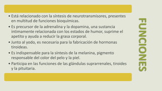 • Está relacionado con la síntesis de neurotransmisores, presentes
en multitud de funciones bioquímicas.
• Es precursor de la adrenalina y la dopamina, una sustancia
íntimamente relacionada con los estados de humor, suprime el
apetito y ayuda a reducir la grasa corporal.
• Junto al yodo, es necesaria para la fabricación de hormonas
tiroideas.
• Es indispensable para la síntesis de la melanina, pigmento
responsable del color del pelo y la piel.
• Participa en las funciones de las glándulas suprarrenales, tiroides
y la pituitaria.
FUNCIONES
 