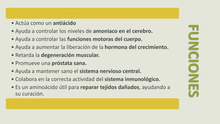 • Actúa como un antiácido
• Ayuda a controlar los niveles de amoniaco en el cerebro.
• Ayuda a controlar las funciones motoras del cuerpo.
• Ayuda a aumentar la liberación de la hormona del crecimiento.
• Retarda la degeneración muscular.
• Promueve una próstata sana.
• Ayuda a mantener sano el sistema nervioso central.
• Colabora en la correcta actividad del sistema inmunológico.
• Es un aminoácido útil para reparar tejidos dañados, ayudando a
su curación.
FUNCIONES
 