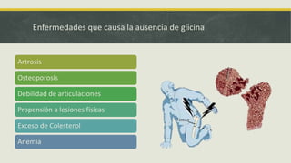 Enfermedades que causa la ausencia de glicina
Artrosis
Osteoporosis
Debilidad de articulaciones
Propensión a lesiones físicas
Exceso de Colesterol
Anemia
 