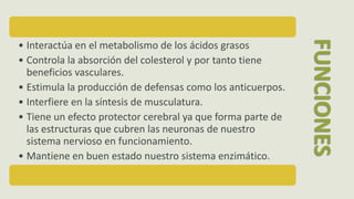 • Interactúa en el metabolismo de los ácidos grasos
• Controla la absorción del colesterol y por tanto tiene
beneficios vasculares.
• Estimula la producción de defensas como los anticuerpos.
• Interfiere en la síntesis de musculatura.
• Tiene un efecto protector cerebral ya que forma parte de
las estructuras que cubren las neuronas de nuestro
sistema nervioso en funcionamiento.
• Mantiene en buen estado nuestro sistema enzimático.
FUNCIONES
 