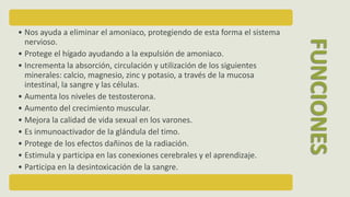 • Nos ayuda a eliminar el amoniaco, protegiendo de esta forma el sistema
nervioso.
• Protege el hígado ayudando a la expulsión de amoniaco.
• Incrementa la absorción, circulación y utilización de los siguientes
minerales: calcio, magnesio, zinc y potasio, a través de la mucosa
intestinal, la sangre y las células.
• Aumenta los niveles de testosterona.
• Aumento del crecimiento muscular.
• Mejora la calidad de vida sexual en los varones.
• Es inmunoactivador de la glándula del timo.
• Protege de los efectos dañinos de la radiación.
• Estimula y participa en las conexiones cerebrales y el aprendizaje.
• Participa en la desintoxicación de la sangre.
FUNCIONES
 